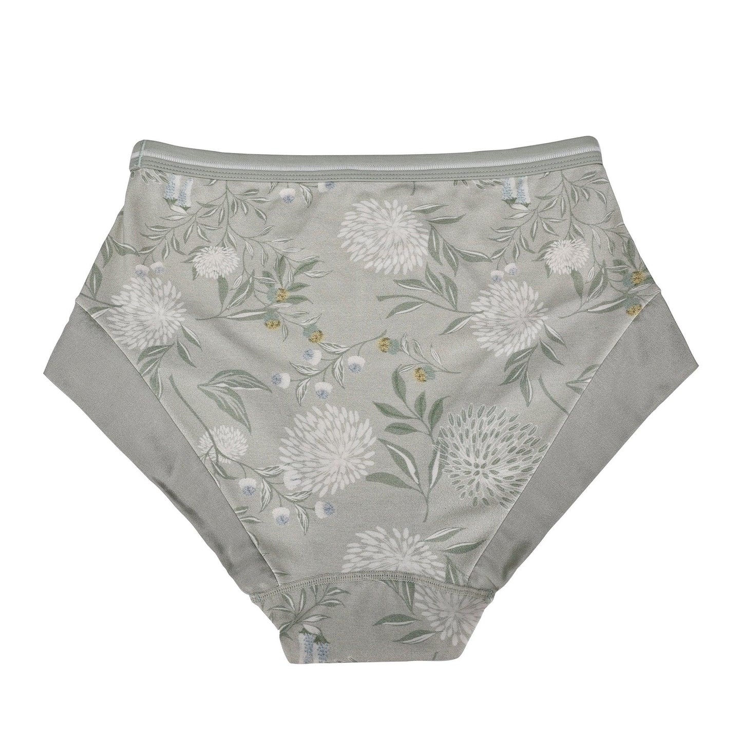 Valentina -  High Waisted Silk & Organic Cotton Full Brief-1